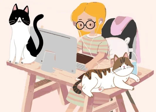 Contacto Yanina Unrein